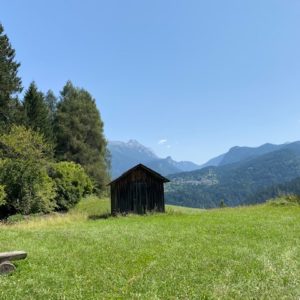 Traversata del Cadore tra Lozzo e Grea